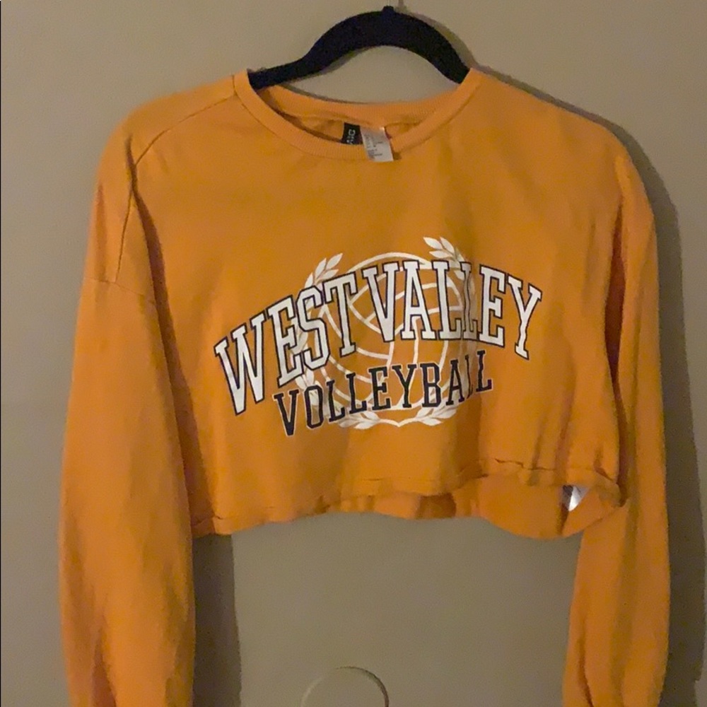 Longsleeve Orange crop top